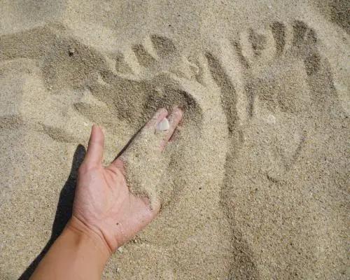 中国芯片最新现状多久能够突破,真正的国产芯片什么时候能到来