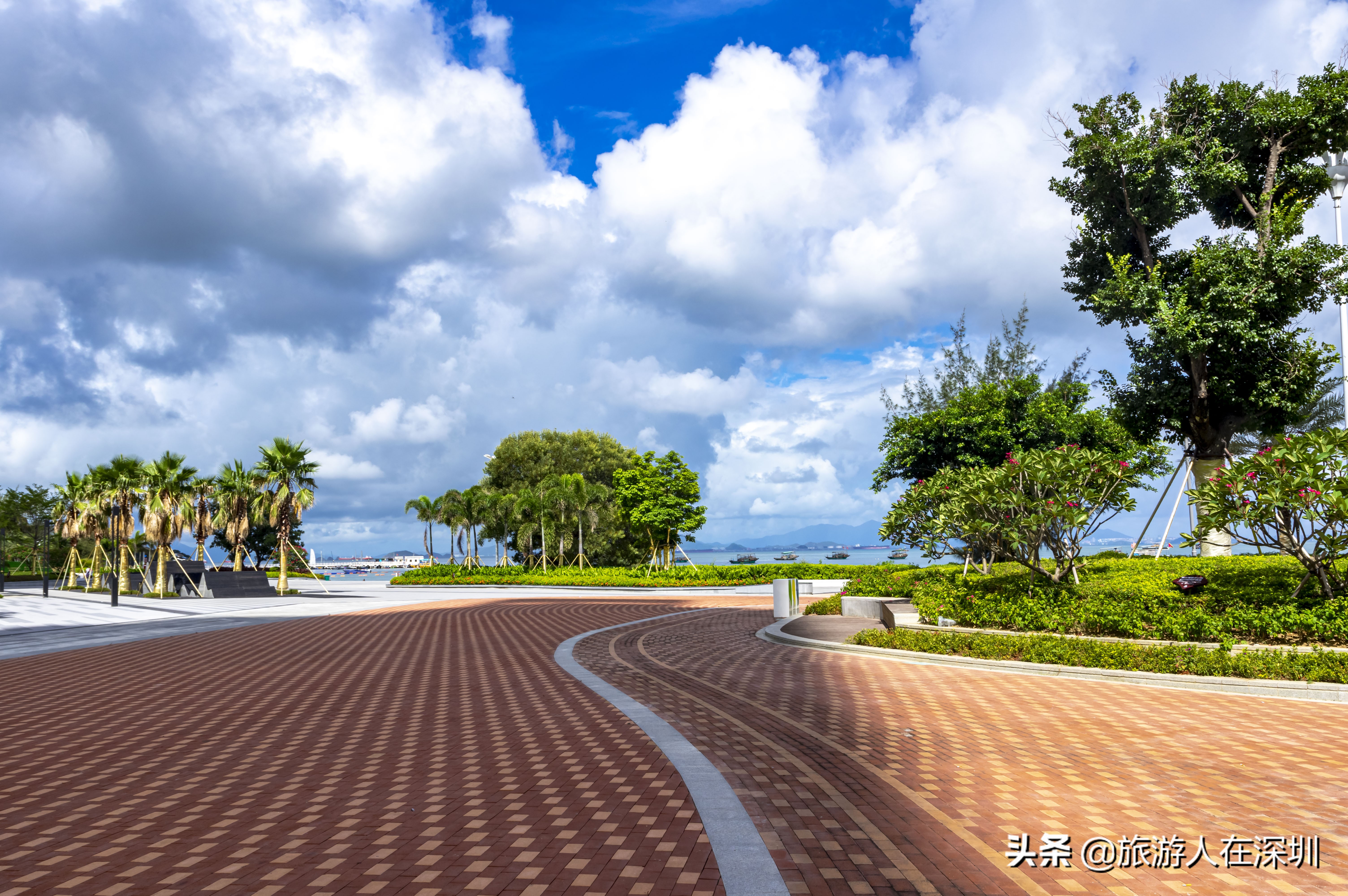 惠州巽寮湾酒店民宿推荐4房,巽寮湾海景酒店公寓