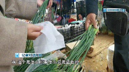 掉色葱有什么危害,野生葱的危害有多大