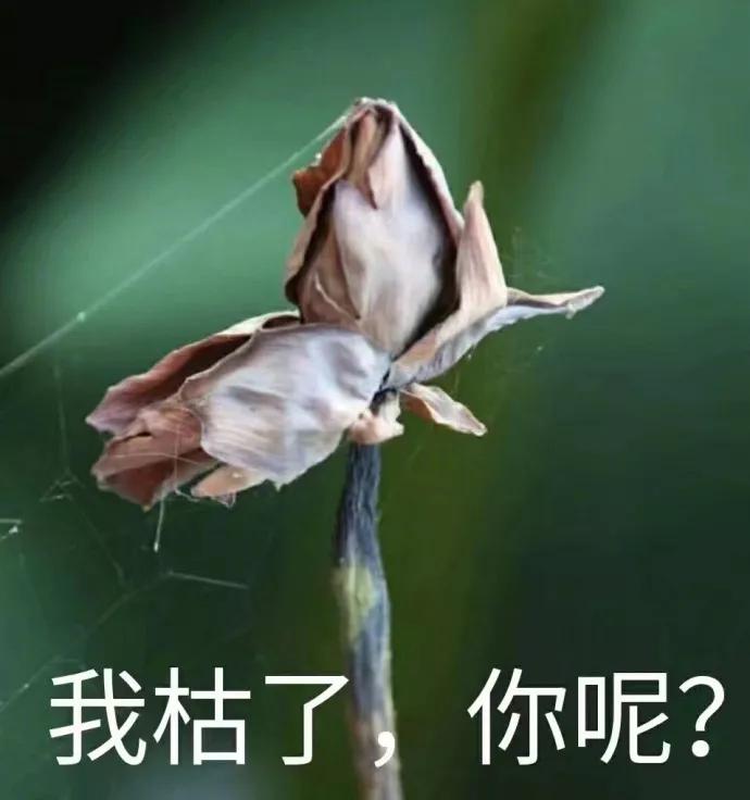 熔喷布厂最新招聘信息,一边工作一边没钱