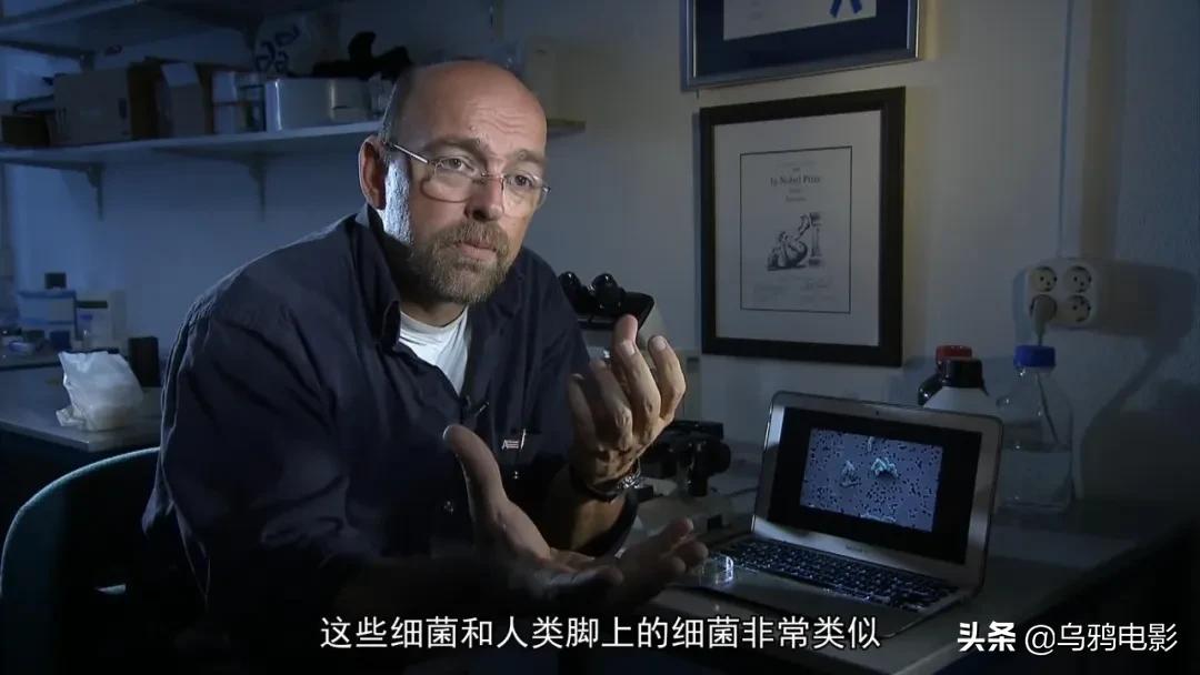 太硬核了全场高能视频,太硬核了全场高能