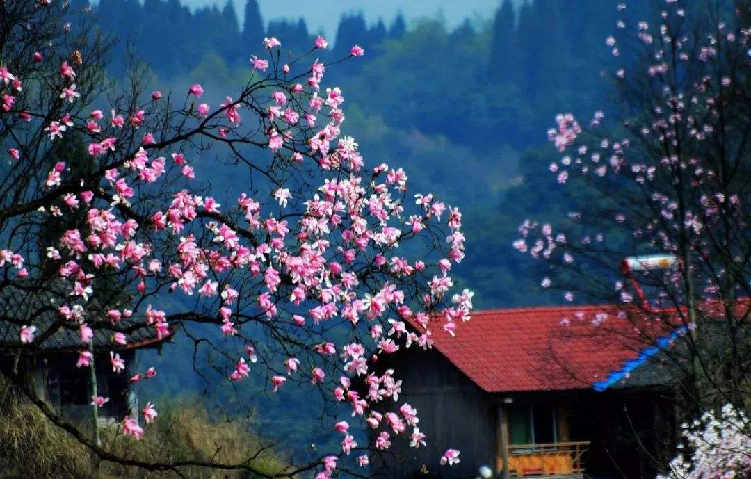 怎么过七夕会让女朋友觉得很特别,过七夕怎么才能给女朋友惊喜