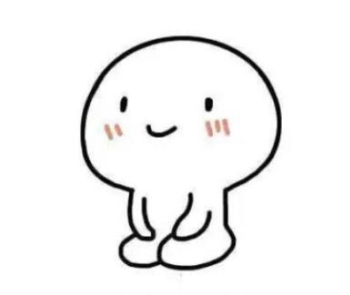 入境加拿大海关违禁物品,加拿大海关禁止带入的物品有什么