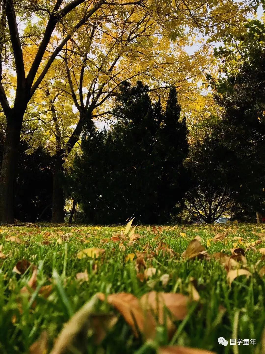 三字经孔融四岁能让梨的故事,三字经孔融四岁能让梨什么意思