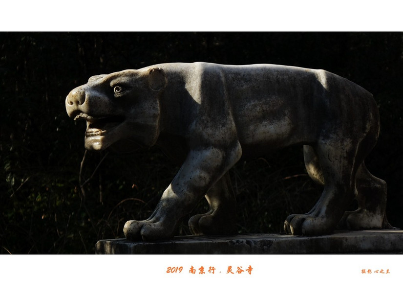 六朝金粉和金陵雨花台,六朝金粉地最忆是金陵啥意思