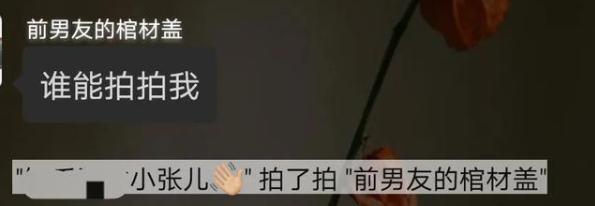 微信上线拍一拍有哪些功能,微信的拍一拍要弄什么