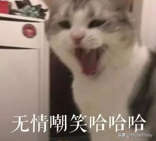 不洗脸皮肤会更好真的假的,连续一个月不洗脸皮肤会变好