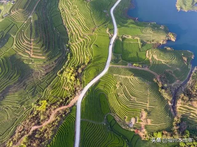 超详细！在福州再也不怕找不到路了！这条微信值得收藏