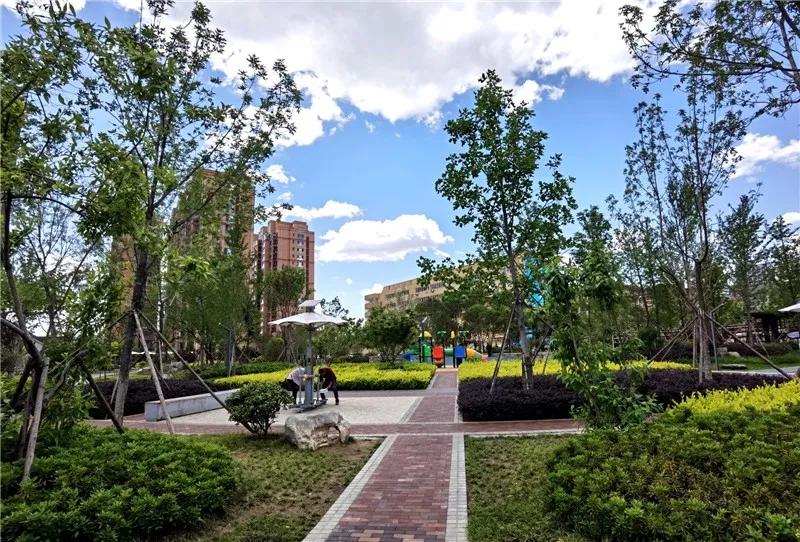 日照石臼城市规划建设,日照市石臼街道区域图文