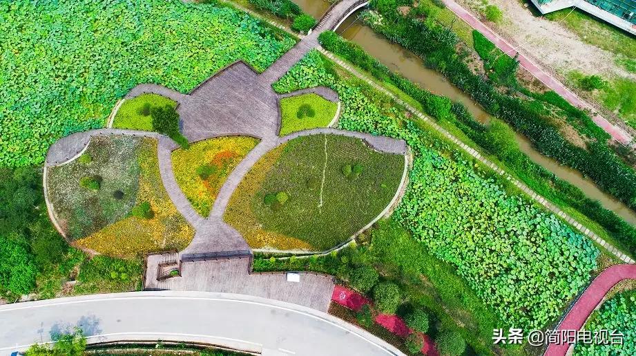 遇见天府雄州|陈新:一道美食映照的修为