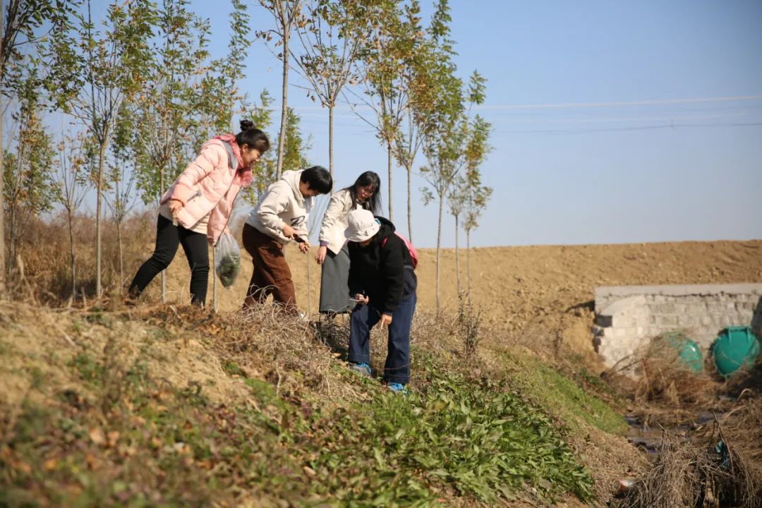 高密作协田野考察（三）乐者电子商务，迎乐科技发布