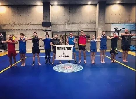 散打核心是什么,散打简短简介