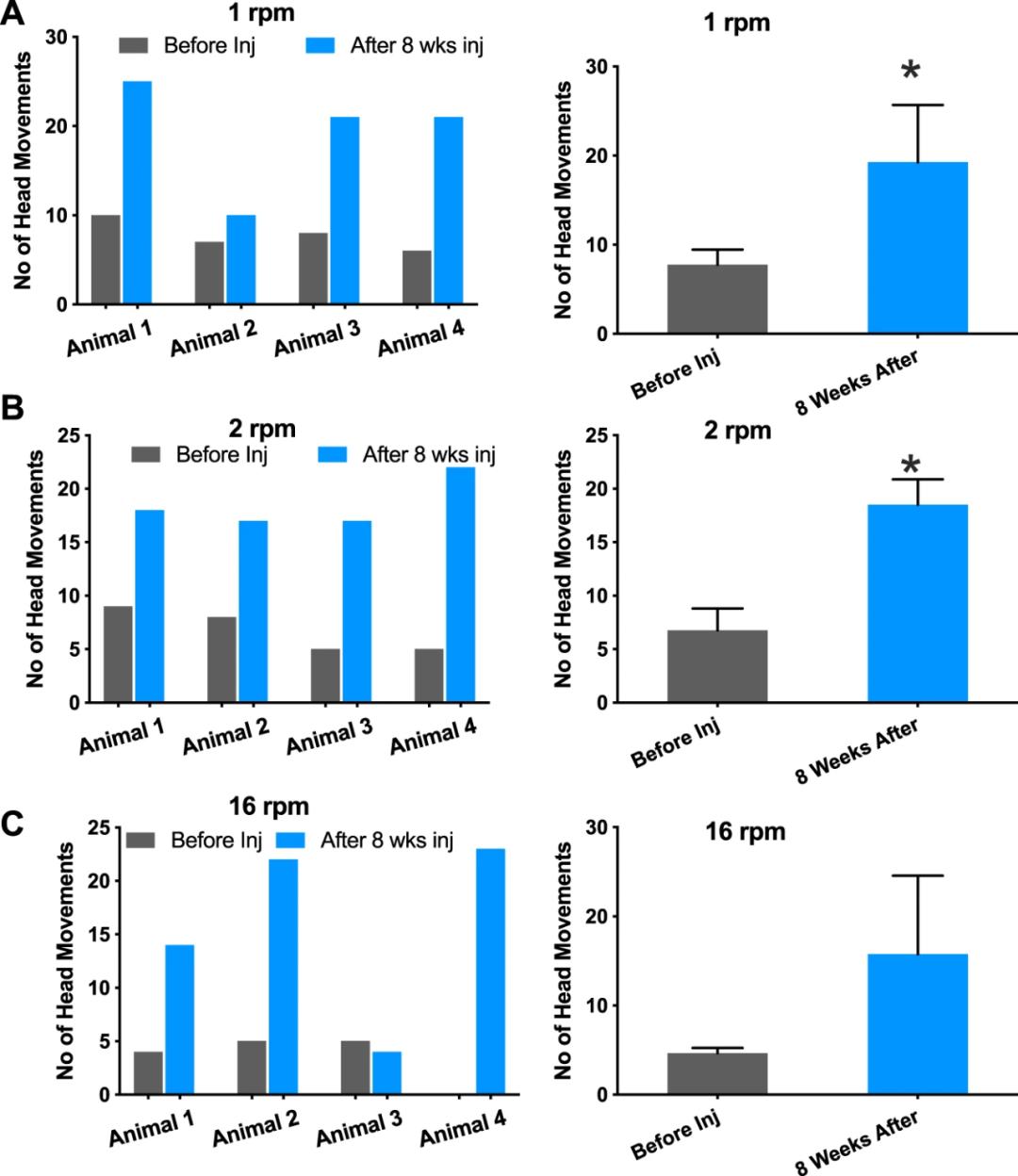 陆英明眼部疾病治疗,陆英明