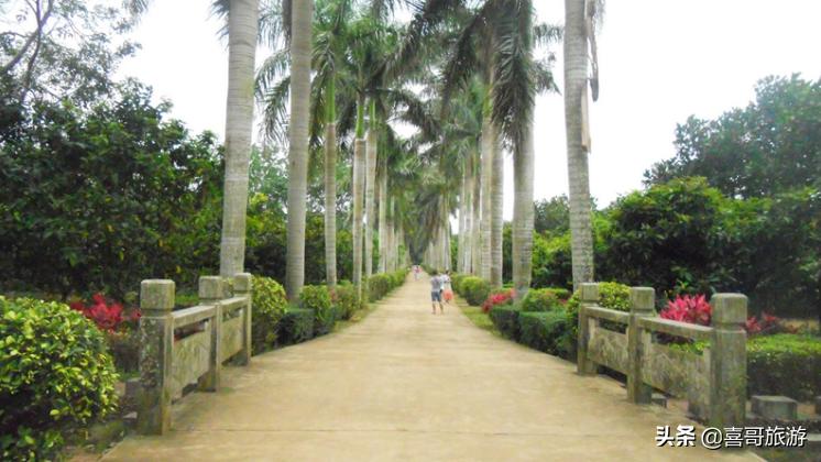 海南省定安县有什么好玩的景区,海南省定安县旅游攻略