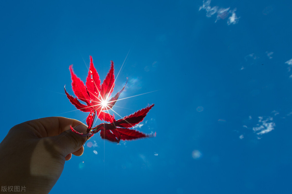 “趣微”—对微小事物引起强烈的乐趣触感