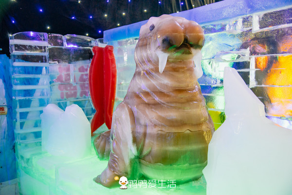 玩转厦门方特冰雪节,厦门方特跨年夜攻略