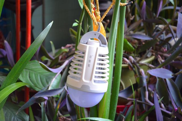 便携式灭蚊灯效果图,俏蜻蜓灭蚊灯可以杀虫吗