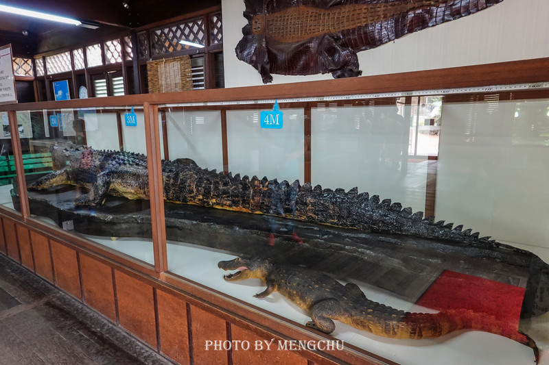 九州别府地狱温泉,别府八大地狱温泉攻略