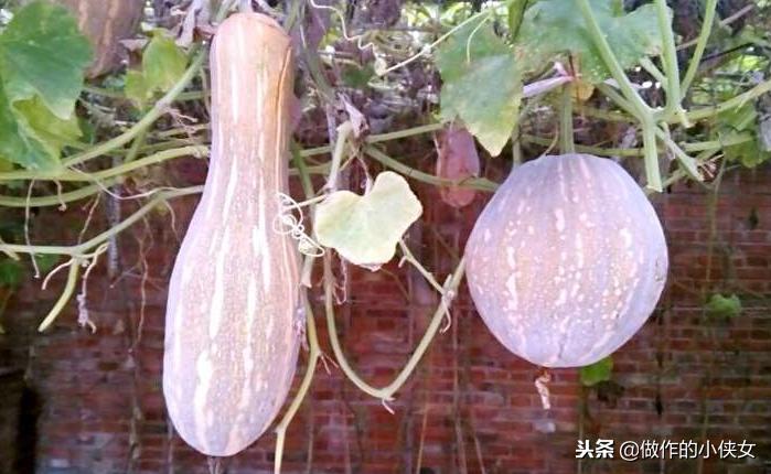 听说你在减肥原创,听说你还在靠节食减肥