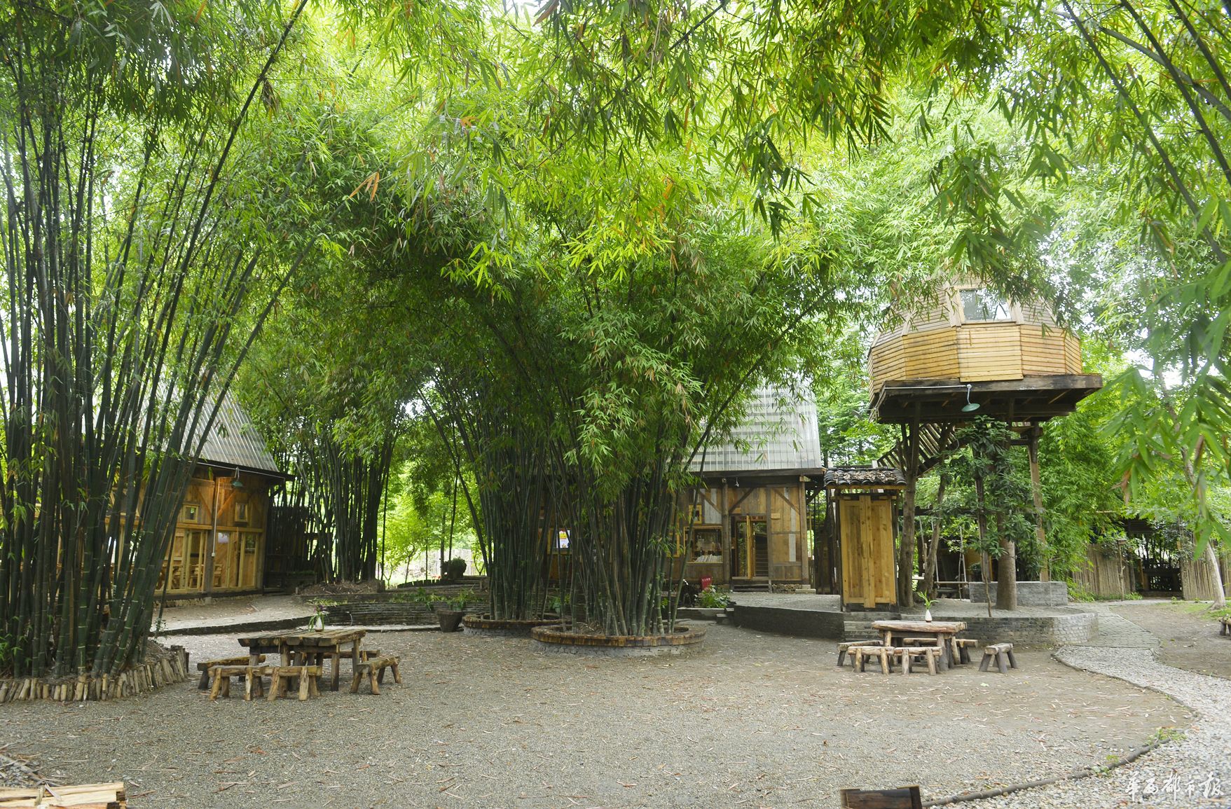 成都周边春季徒步旅游攻略,成都森林徒步旅游攻略