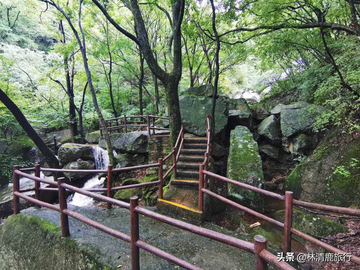 河南适合老人的自然景区,河南适合自驾游的山路
