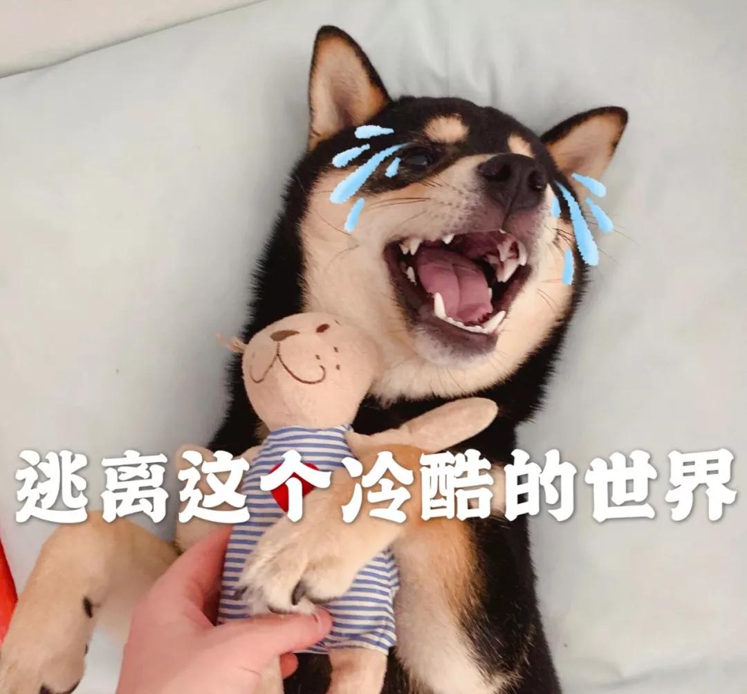 撞了老人出院有没有营养费,被撞老人不肯出院怎么办