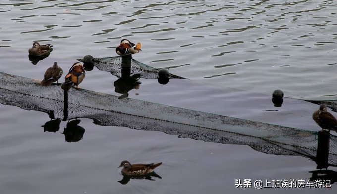 周末微旅行：秦望山麓访名校，白沙堤岸醉桃柳（第二季）