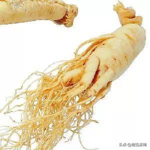 各省市特警特招,各省市特产地图