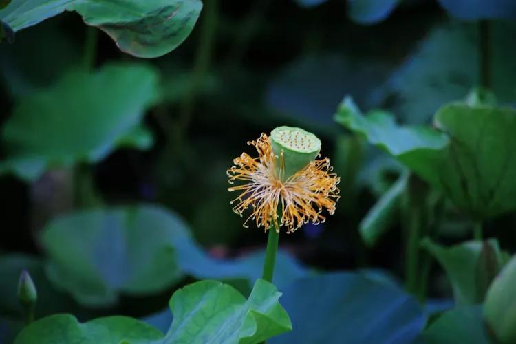 尼康入门单反,单反快速入门攻略