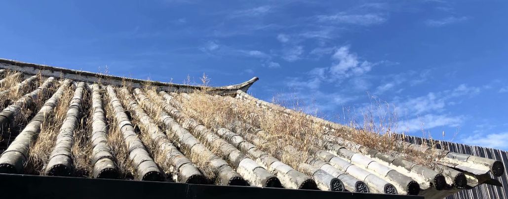 女儿是我的全部梦想,女儿是我坚强的动力