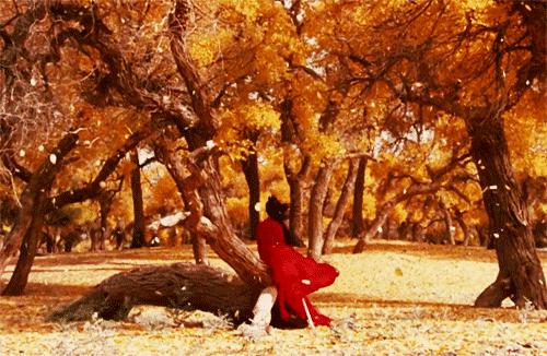 秋天的风景是如此的让人迷醉,秋天的美景个个都让人惊艳