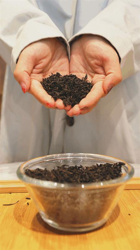 传说中的粉钻茶来了，全西安的女娃都被撩到了！