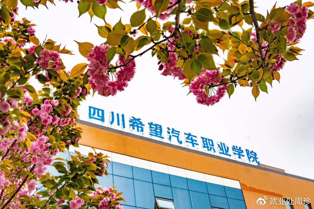 报考驾校必知的知识,报考指南上的信息对吗