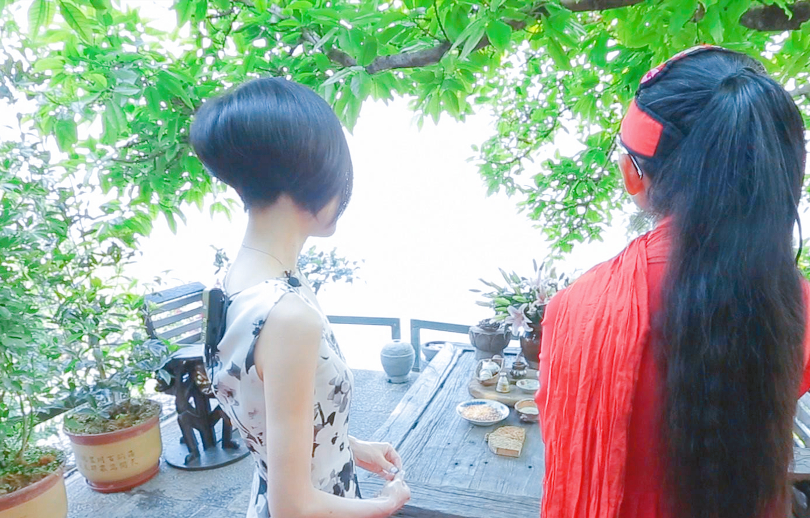 杨丽萍投资多少钱,杨丽萍有多少钱