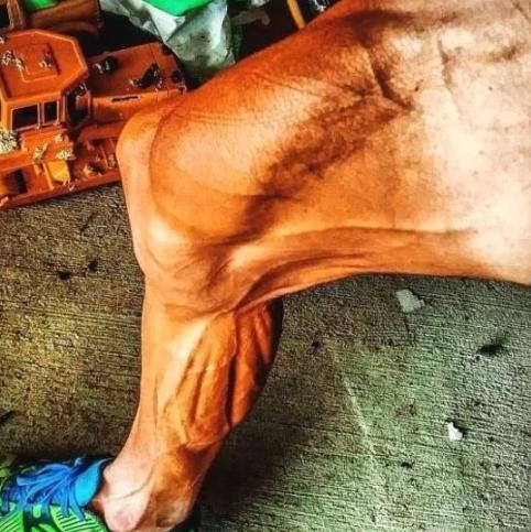 c罗腿部肌肉和乔丹腿部肌肉图片,c罗肌肉vs博尔特肌肉