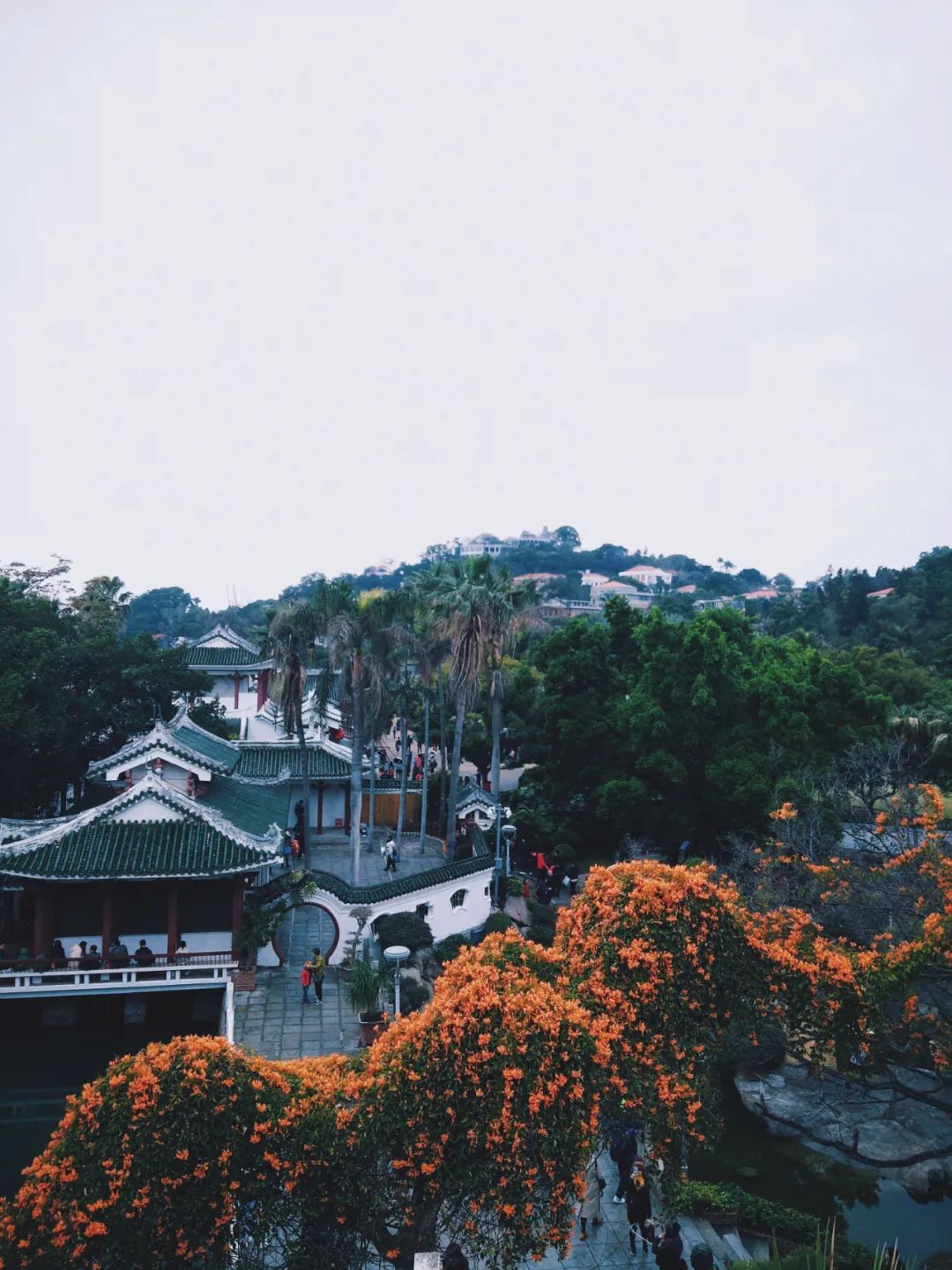 鼓浪屿，是一个处处充满文艺，清新，美景与历史的岛屿