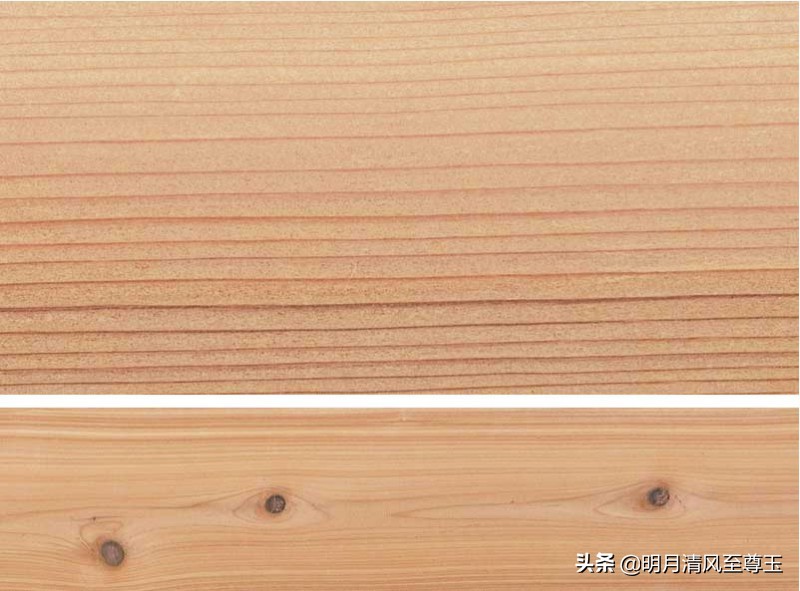 加拿大红雪松有哪些功效,加拿大红雪松批发厂