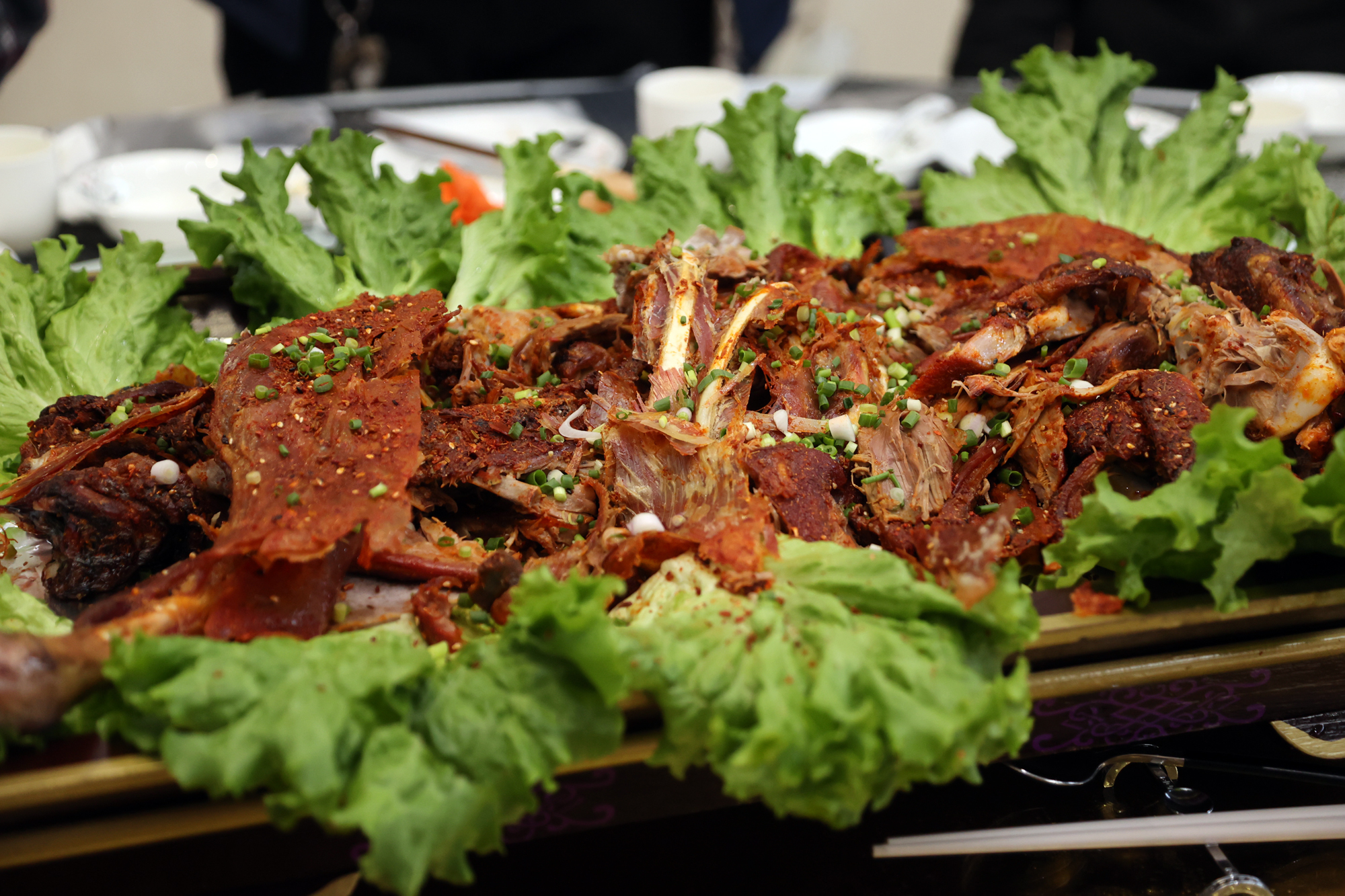 养殖鸵鸟致富,农村致富好帮手鸵鸟养殖