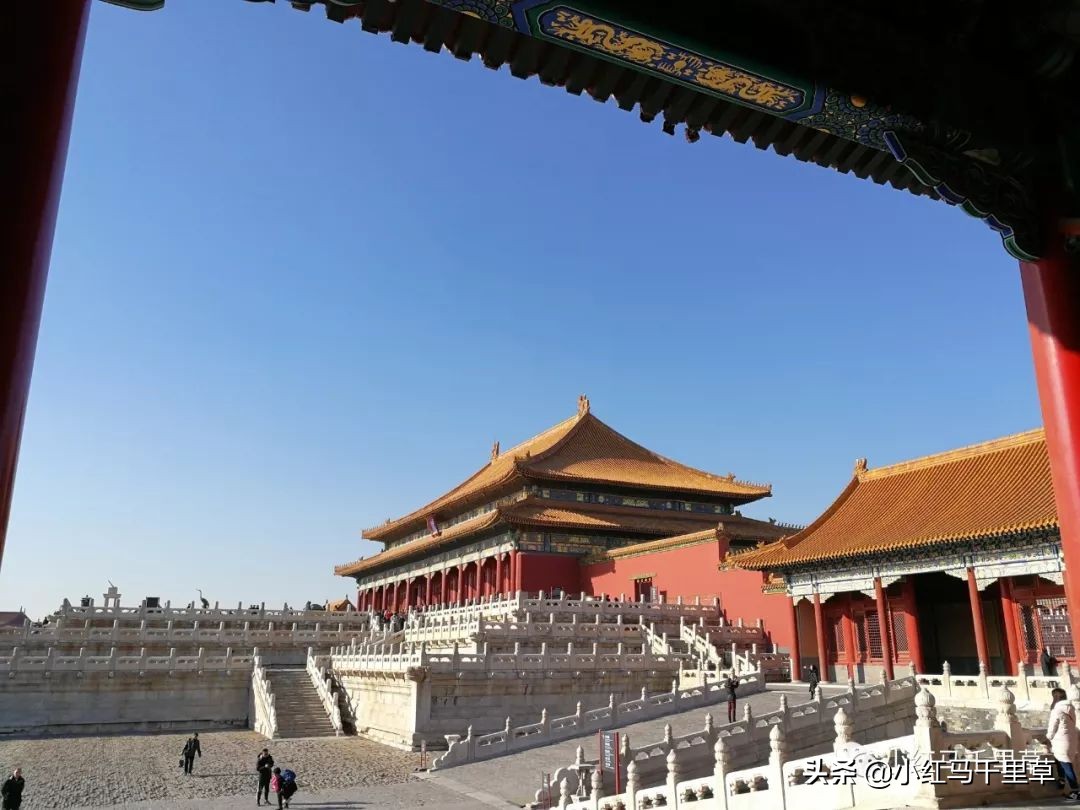 曲阜孔府孔庙孔林历史背景,曲阜孔府孔庙孔林一游