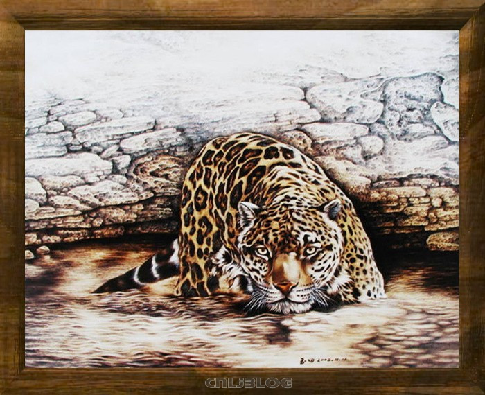 教你画画侧脸,烙画美图