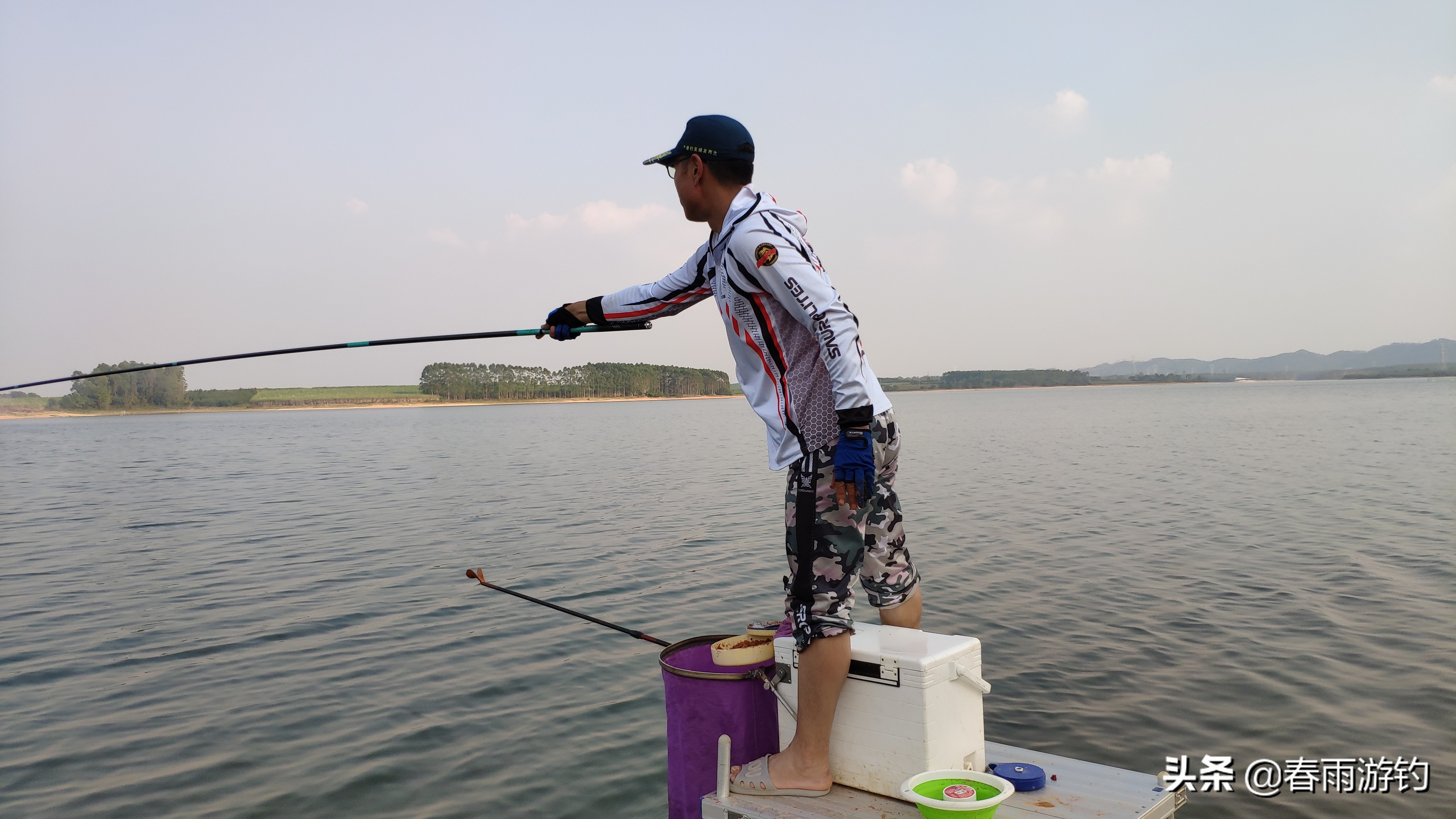 邕江小罗非闹窝,北海清水江钓罗非