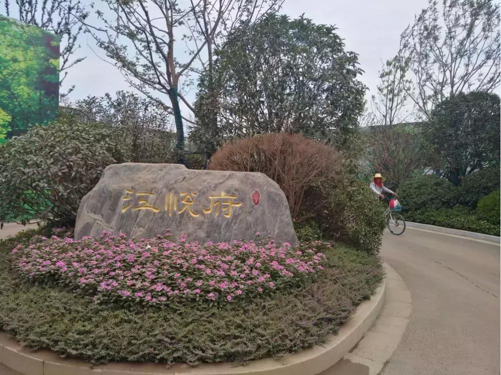 白沙洲告别篇:留汉大学生“首站”青菱新区