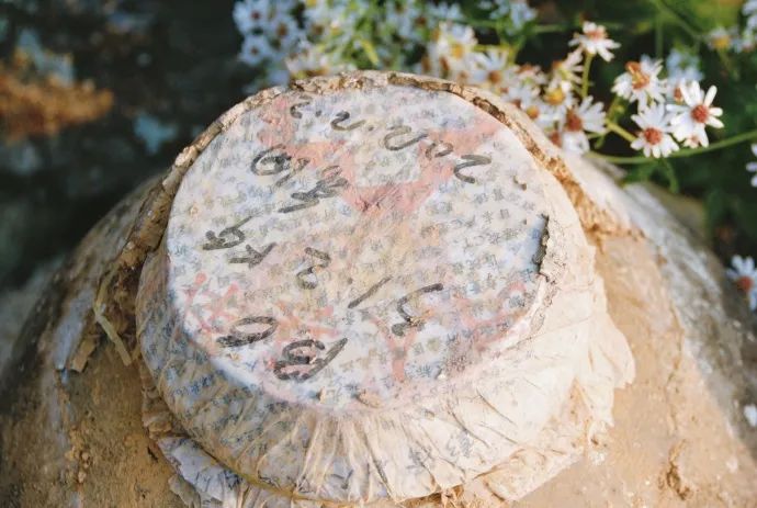 10年前，那个花83元穷游*藏西**的姑娘，后来怎么样了？