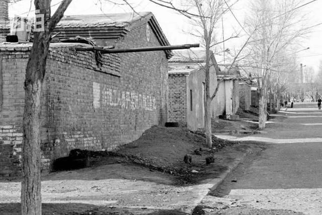 我的名字叫建国,下海25年,90年代吃千元龙虾日进数万