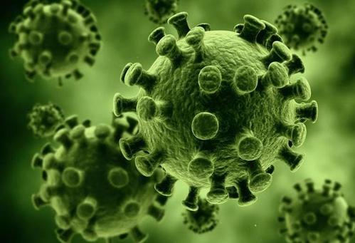 大闸蟹死了蟹黄多久以内可以吃,大闸蟹死了能吃蟹黄吗