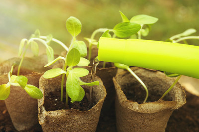 大便酸臭味宝宝怎么调理,小孩大便酸臭味不成形是怎么回事