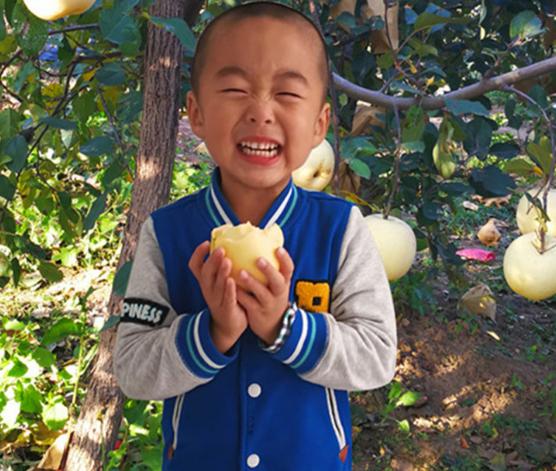 山东奶白桃,山东奶白脆苹果