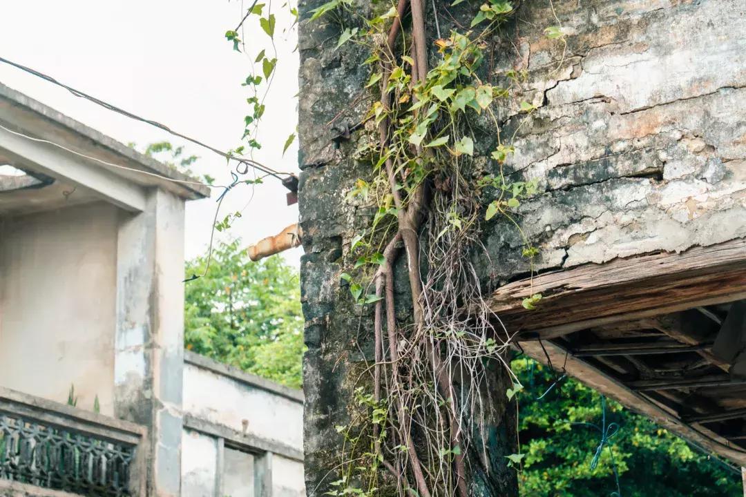 观澜有没有价值,观澜发展得起来吗