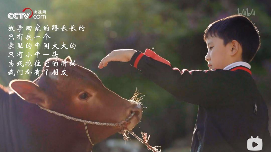 关于情绪调节的纪录片,看了情绪管理的感触