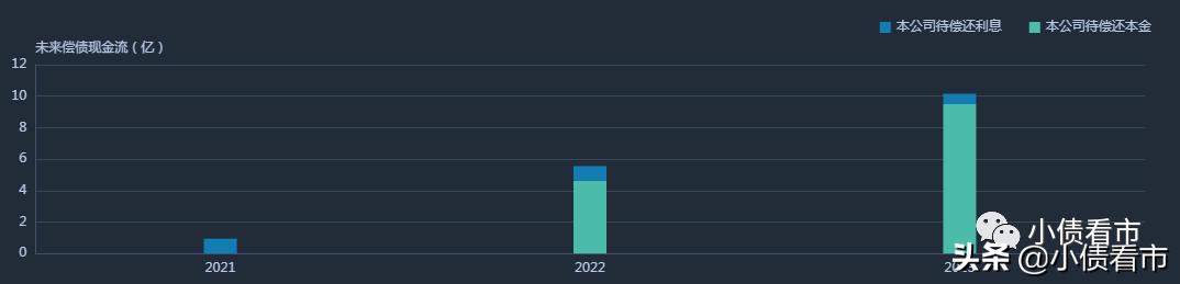 鹏博士海外债违约事项,鹏博士减负债券违约风险